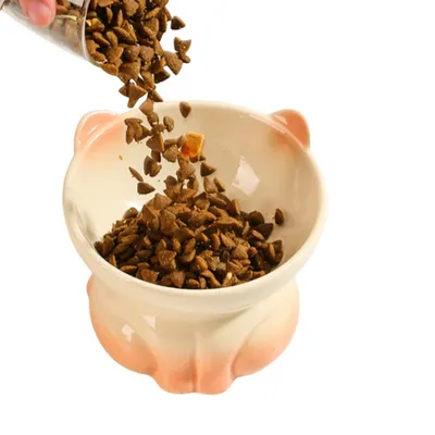 Petopia Gamelle surélevée pour chat