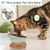 Petopia Gamelle surélevée pour chat