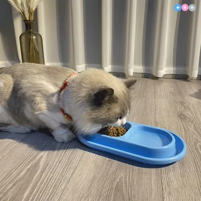 Petopia Gamelle 2 - en - 1 pour Chat et Chien