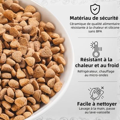 Pet Planet Chats Bol de Nourriture en Céramique Lot de 3