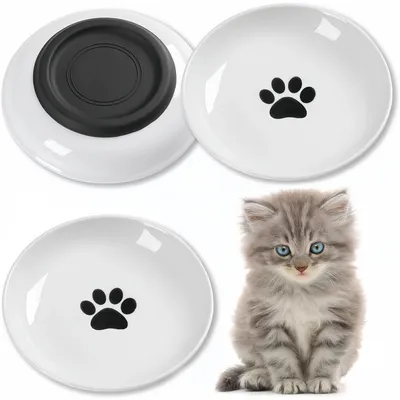 Pet Planet Chats Bol de Nourriture en Céramique Lot de 3