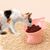 Petopia Gamelle surélevée pour chat