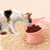 Petopia Gamelle surélevée pour chat