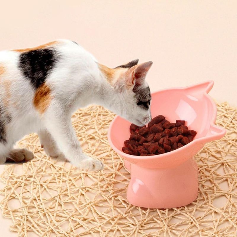 Petopia Gamelle surélevée pour chat