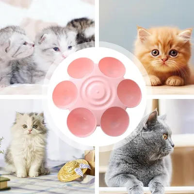 Petopia Gamelle en forme de fleur pour chat