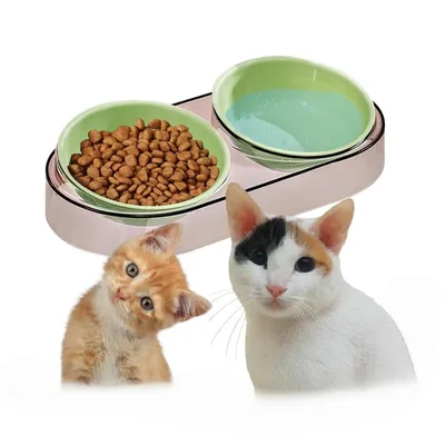 Petopia Bol d'eau et nourriture surélevé pour animal