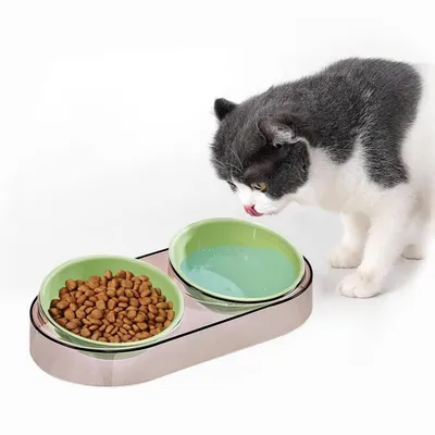 Petopia Bol d'eau et nourriture surélevé pour animal