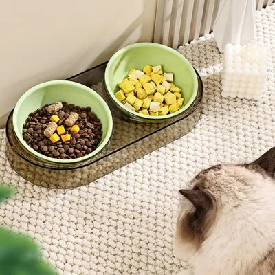 Petopia Bol d'eau et nourriture surélevé pour animal