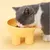 Petopia Gamelle à eau surélevée pour chat