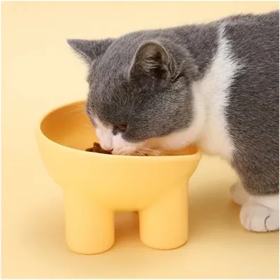 Petopia Gamelle à eau surélevée pour chat