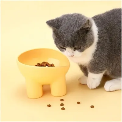 Petopia Gamelle à eau surélevée pour chat