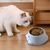 Petopia Gamelle à eau pour chat