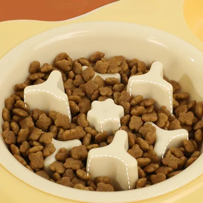 Petopia Gamelle inclinée réglable pour chat