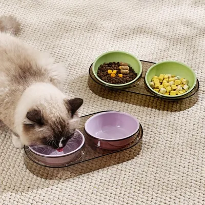 Petopia Bol d'eau et nourriture surélevé pour animal