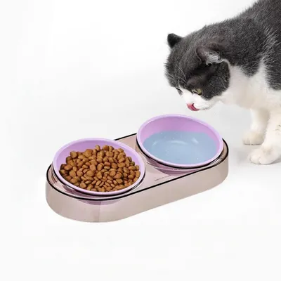 Petopia Bol d'eau et nourriture surélevé pour animal