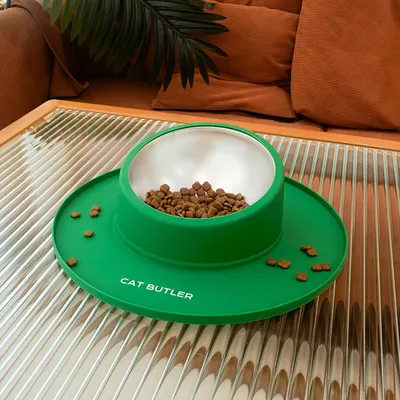 FurryFusion Gamelle antidérapante pour chat