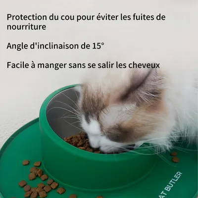 FurryFusion Gamelle antidérapante pour chat