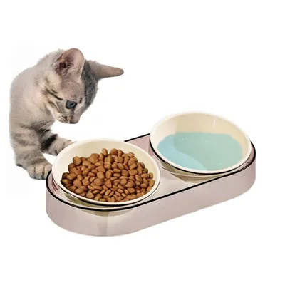 Petopia Bol d'eau et nourriture surélevé pour animal