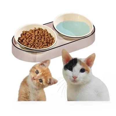 Petopia Bol d'eau et nourriture surélevé pour animal