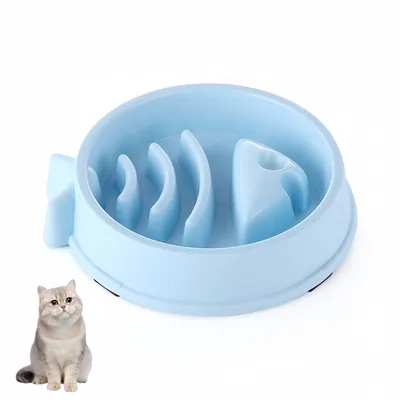 Petopia Gamelle d'alimentation lente pour chats