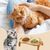 UAMLY 2 bols en céramique pour chat surélevés