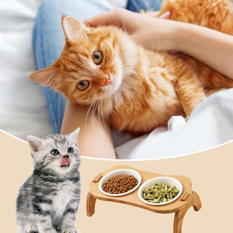UAMLY 2 bols en céramique pour chat surélevés