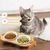 UAMLY 2 bols en céramique pour chat surélevés