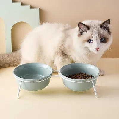 FurryFusion Bol pour chat en céramique