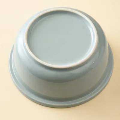 FurryFusion Bol pour chat en céramique