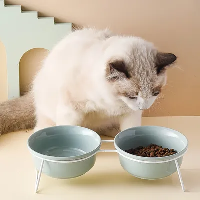 FurryFusion Bol pour chat en céramique