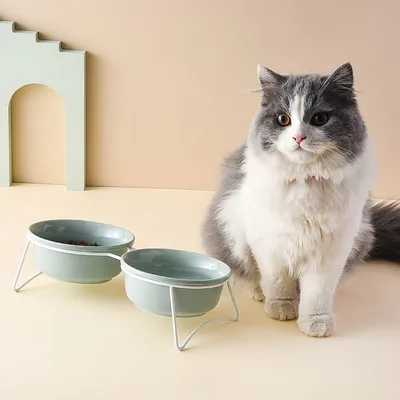 FurryFusion Bol pour chat en céramique