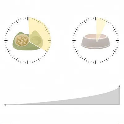 Petopia Gamelle inclinée réglable pour chat