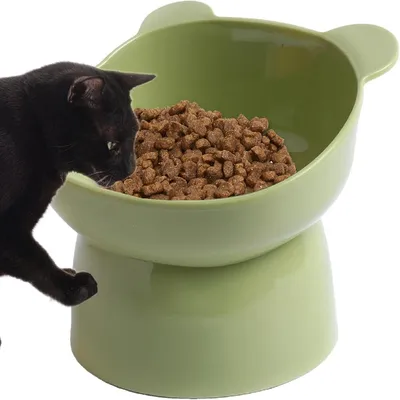 Petopia Gamelle surélevée et inclinée pour chat