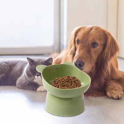 Petopia Gamelle surélevée et inclinée pour chat