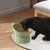 Petopia Gamelle surélevée et inclinée pour chat