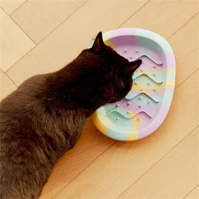 Pet Planet Gamelle anti - glouton pour chat