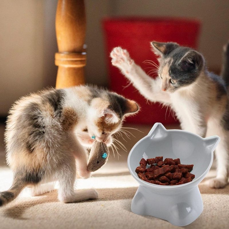 Petopia Gamelle surélevée pour chat