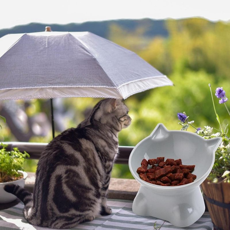 Petopia Gamelle surélevée pour chat