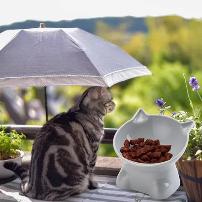 Petopia Gamelle surélevée pour chat