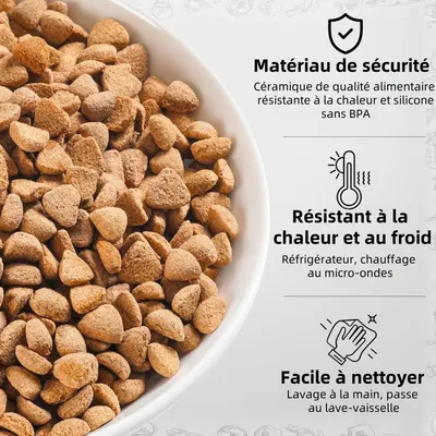 Pet Planet Chats Bol de Nourriture en Céramique Lot de 3