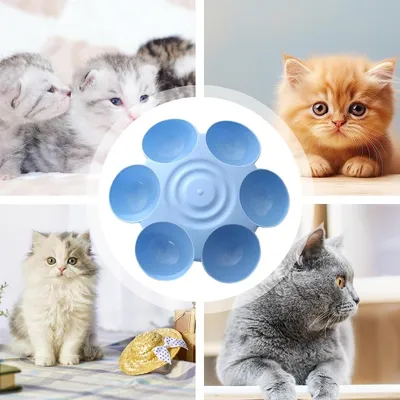 Petopia Gamelle en forme de fleur pour chat