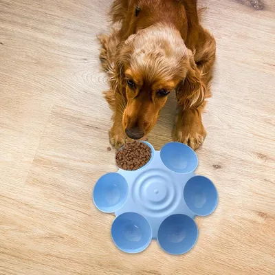 Petopia Gamelle en forme de fleur pour chat