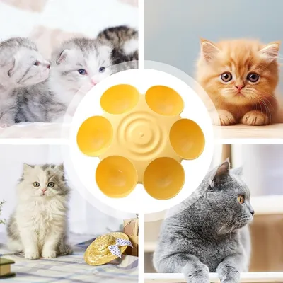 Petopia Gamelle en forme de fleur pour chat