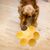 Petopia Gamelle en forme de fleur pour chat