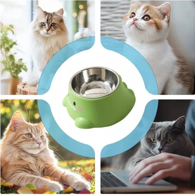 Petopia Gamelle à eau pour chat