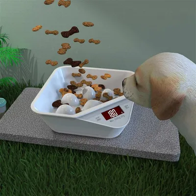 Pet Planet Mangeoire Pesée pour chien et chat