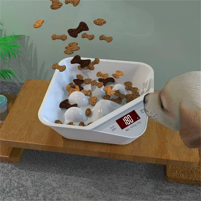 Pet Planet Mangeoire Pesée pour chien et chat