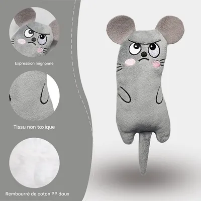 Pet Planet Chats 6 Pièces Herbe à Chat Jouet