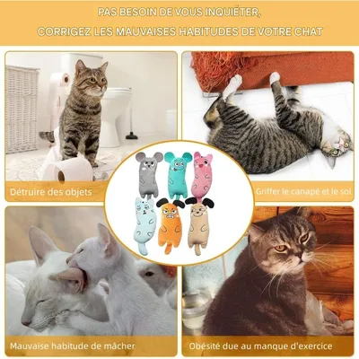 Pet Planet Chats 6 Pièces Herbe à Chat Jouet