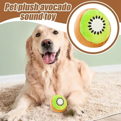 IntiMeg Jeux pour chiens mâchoires énergiques